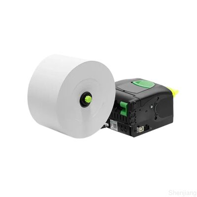 Yeni Orijinal Termal Baskı Kafası CUSTOM VKP80III Tip B 58mm 915DX011700300 915DX011700300 VKP 80III Yazıcı için